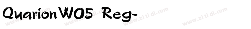 QuarionW05  Reg字体转换